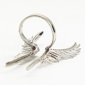 Alternative view of Angel Ring