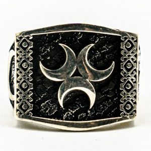 Alternative view of Pride